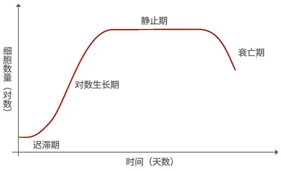 细胞生长时间曲线图