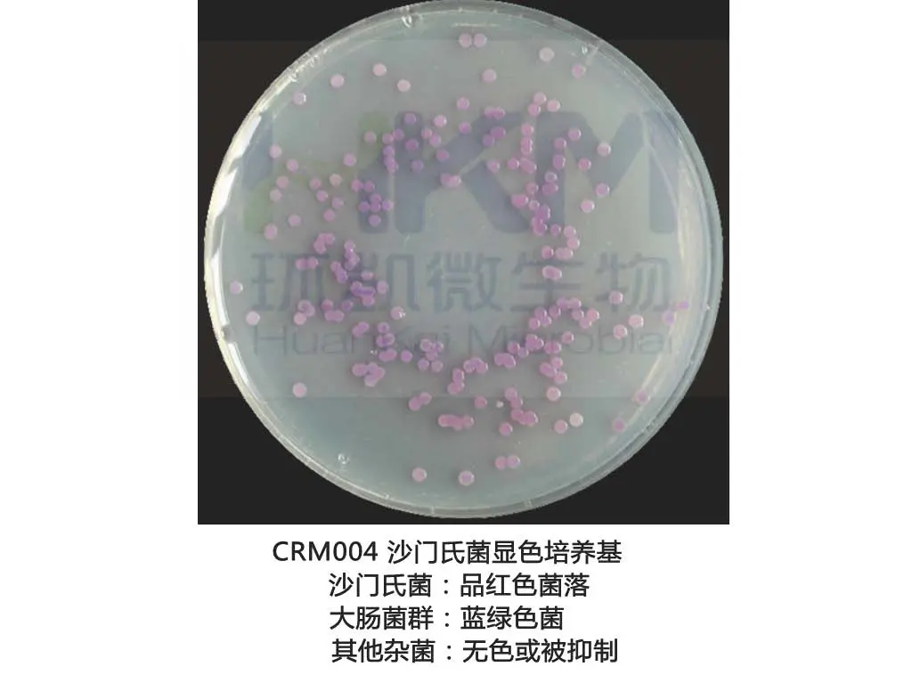 CRM004 沙门氏菌显色培养基 CRM004 沙门氏菌显色培养基