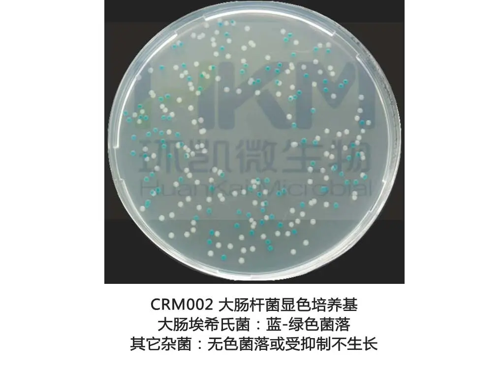 CRM002 大肠杆菌显色培养基 CRM002 大肠杆菌显色培养基