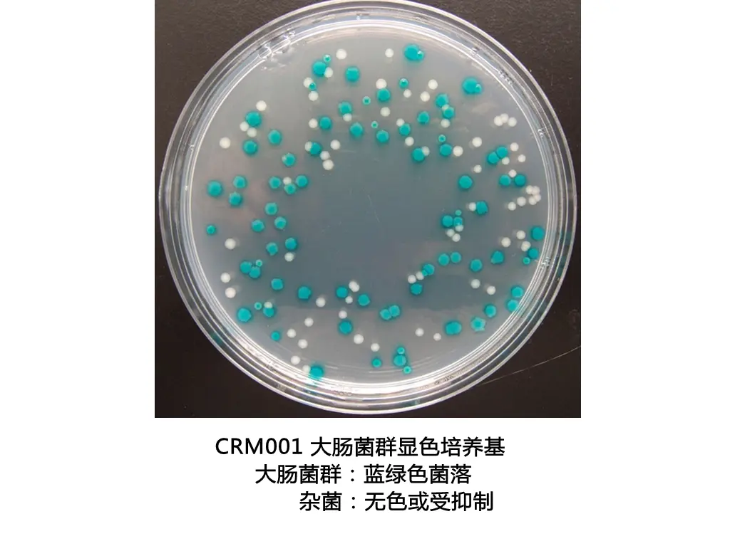 CRM003 大肠菌群大肠杆菌显色培养基 CRM003 大肠菌群大肠杆菌显色培养基