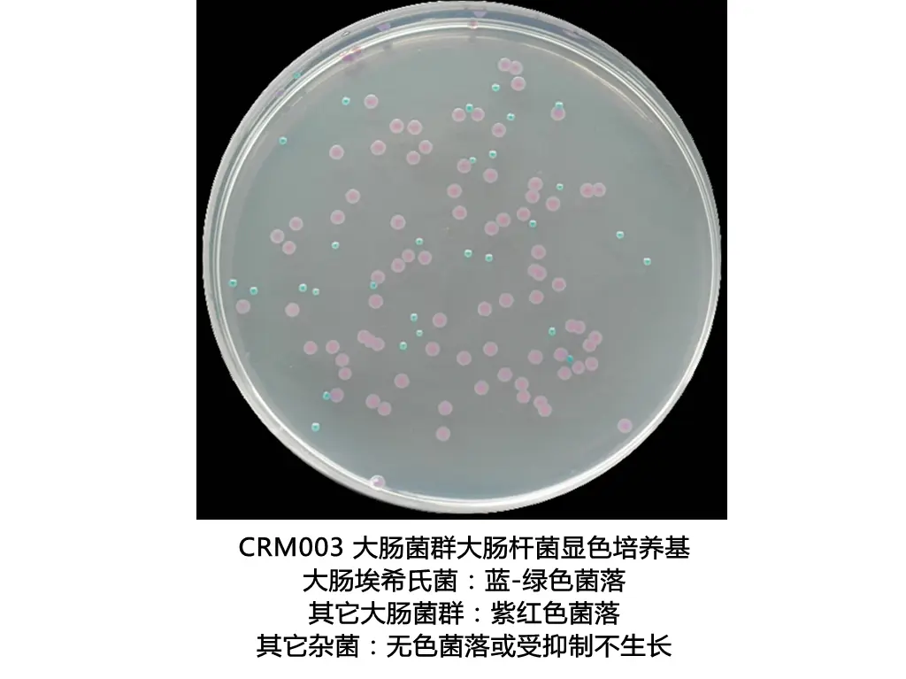 CRM001 大肠菌群显色培养基 CRM001 大肠菌群显色培养基