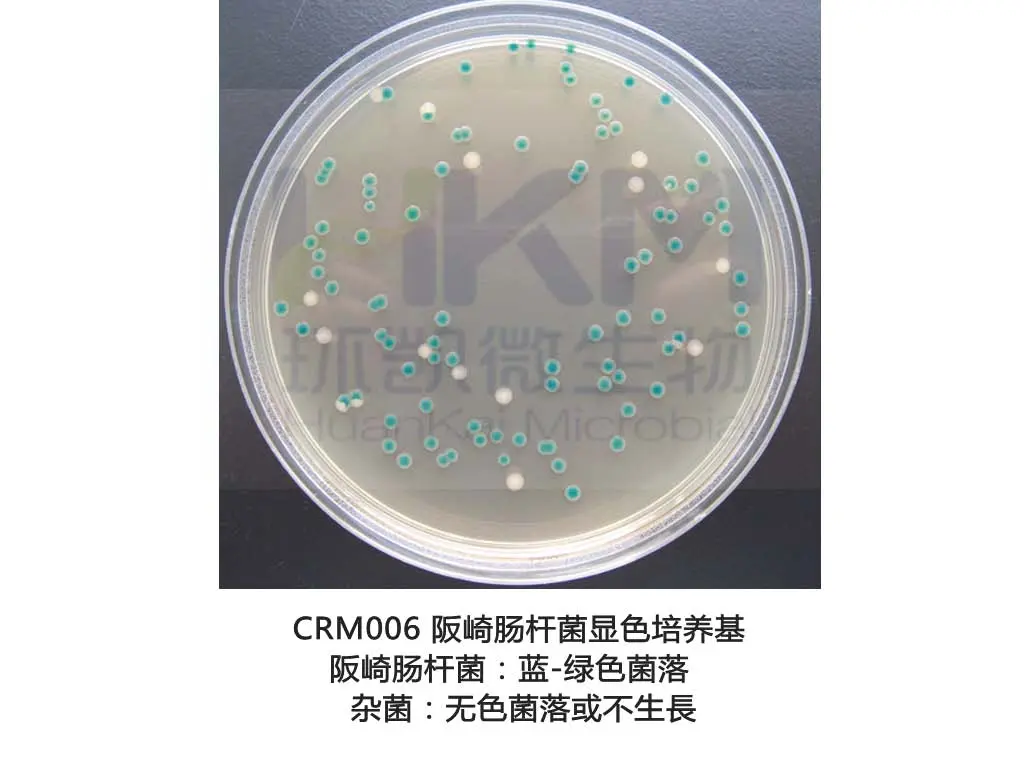 CRM006 阪崎肠杆菌显色培养基(DFI) CRM006 阪崎肠杆菌显色培养基(DFI)