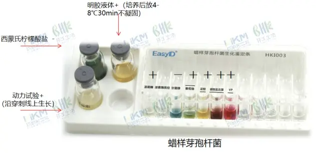 https://www.huankai.com/show/24919.html https://www.huankai.com/show/24919.html