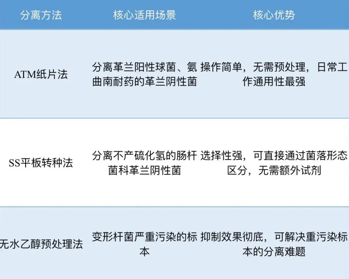 变形杆菌爬满平板