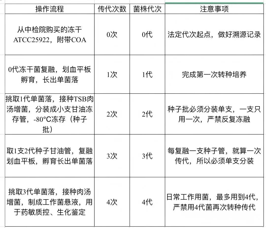 0代到5代计数模板 0代到5代计数模板