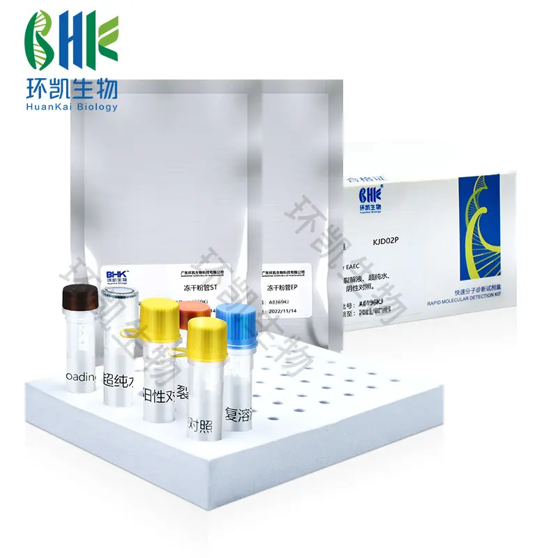 KJD02P EPEC-STEC-EHEC多重PCR检测试剂盒 24test - 产品主图4