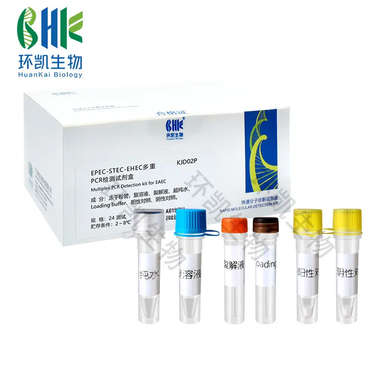 KJD02P EPEC-STEC-EHEC多重PCR检测试剂盒 24test - 产品主图5