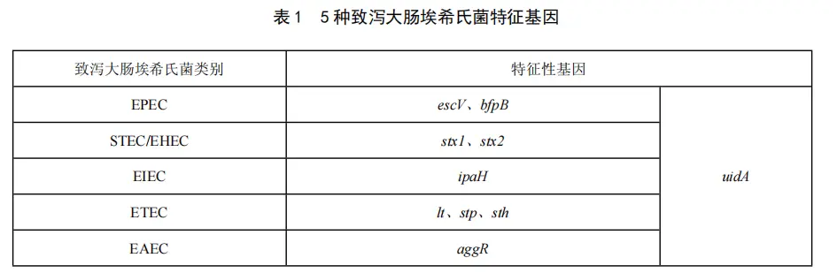 5种致泻大肠埃希氏菌特征基因