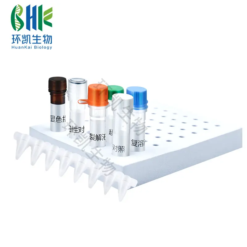 KJD06L 志贺氏菌核酸快速检测试剂盒(恒温荧光法) 24test - 产品主图5