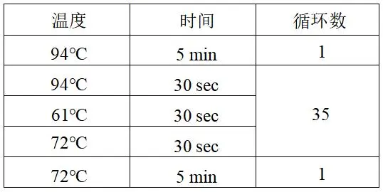 克罗诺杆菌 PCR 检测试剂盒反应程序