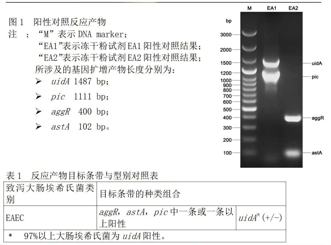 EAEC多重PCR检测试剂盒结果判读