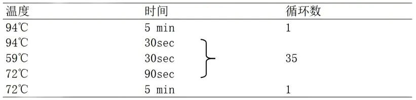ETEC多重PCR检测试剂盒PCR 反应程序