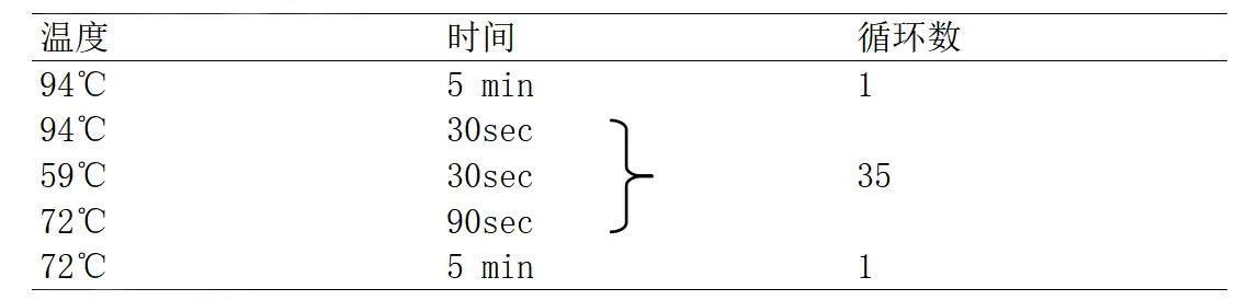 EIEC多重PCR检测试剂盒PCR 反应程序
