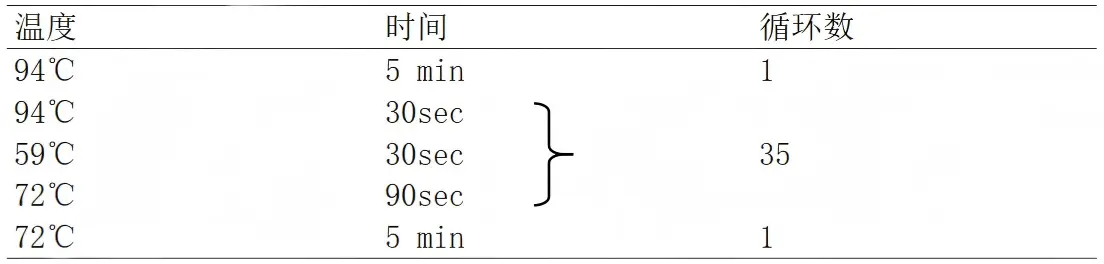 EAEC多重PCR检测试剂盒PCR 反应程序