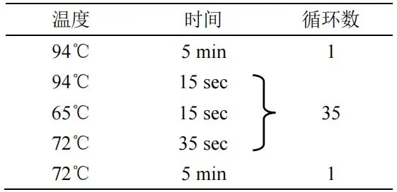 PCR 反应程序