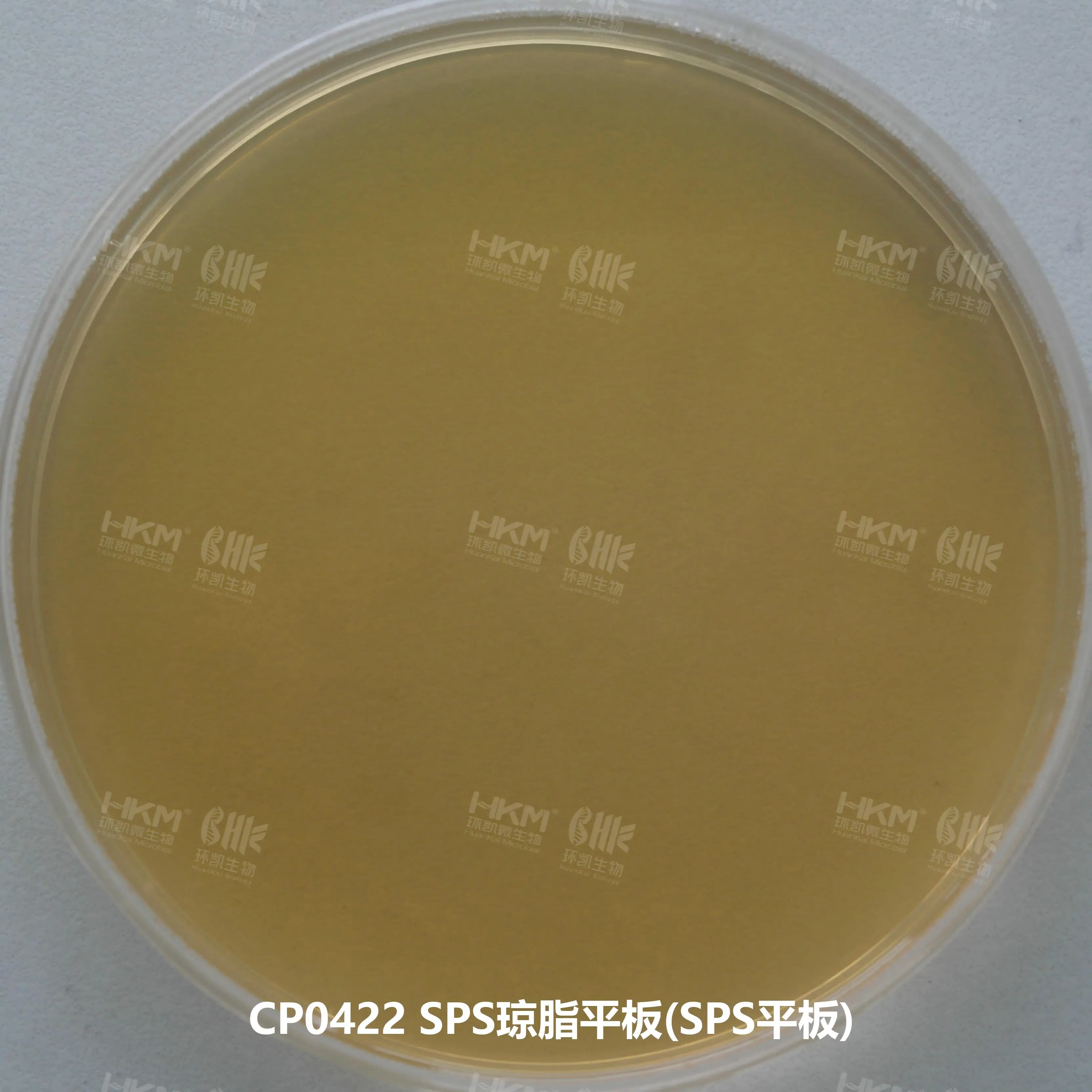CP0422 SPS琼脂平板培养基(亚硫酸盐-多粘菌素-磺胺嘧啶琼脂) 90mm×20个
