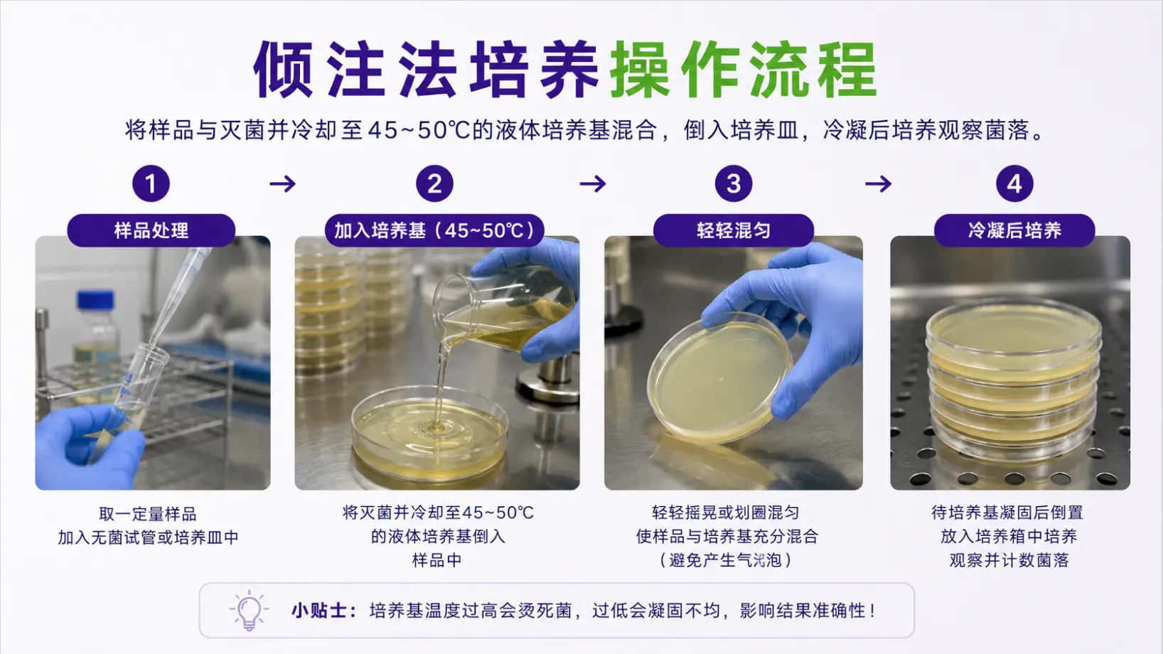 倾注法培养操作流程