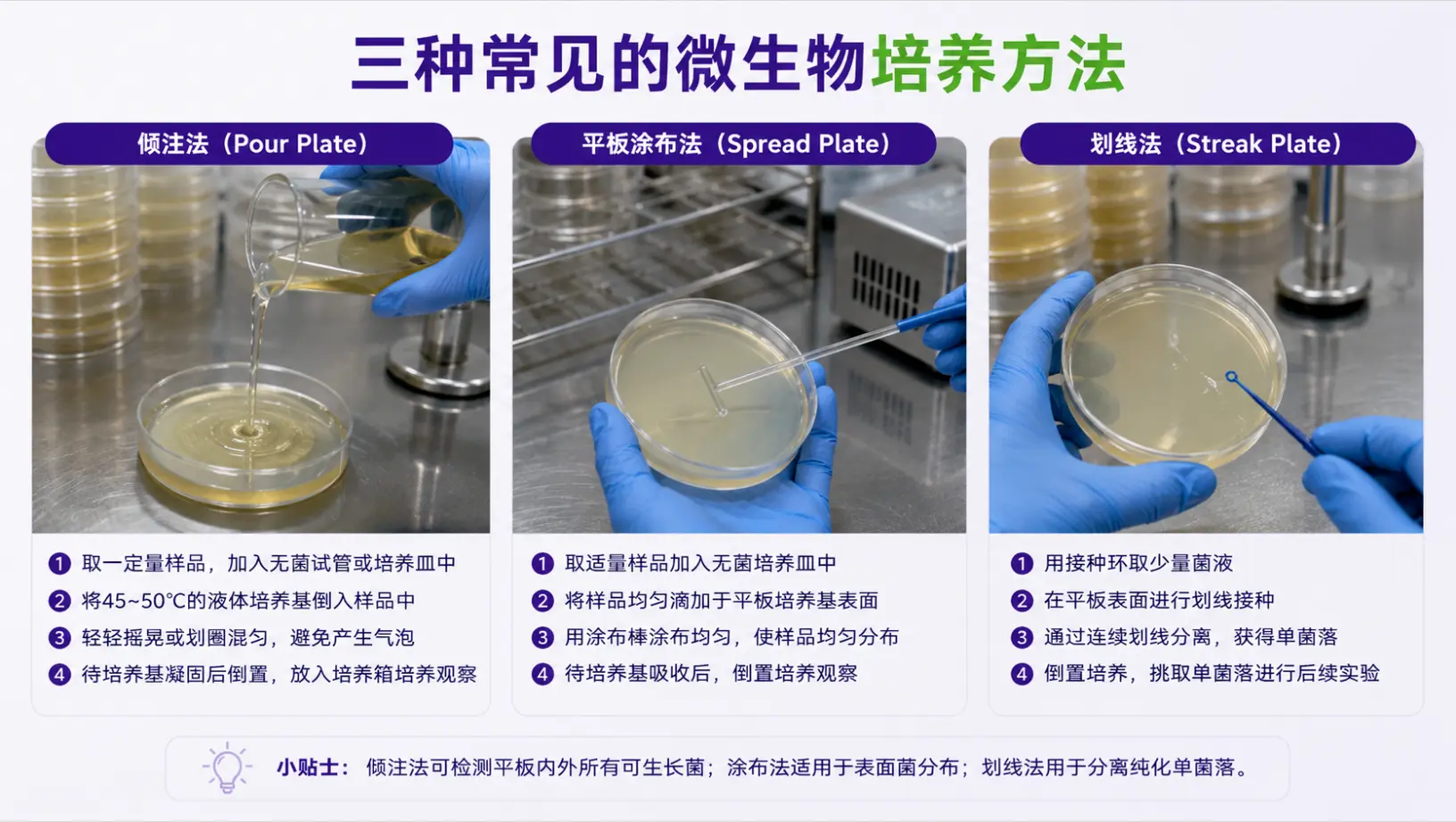 三种常见的微生物培养方法