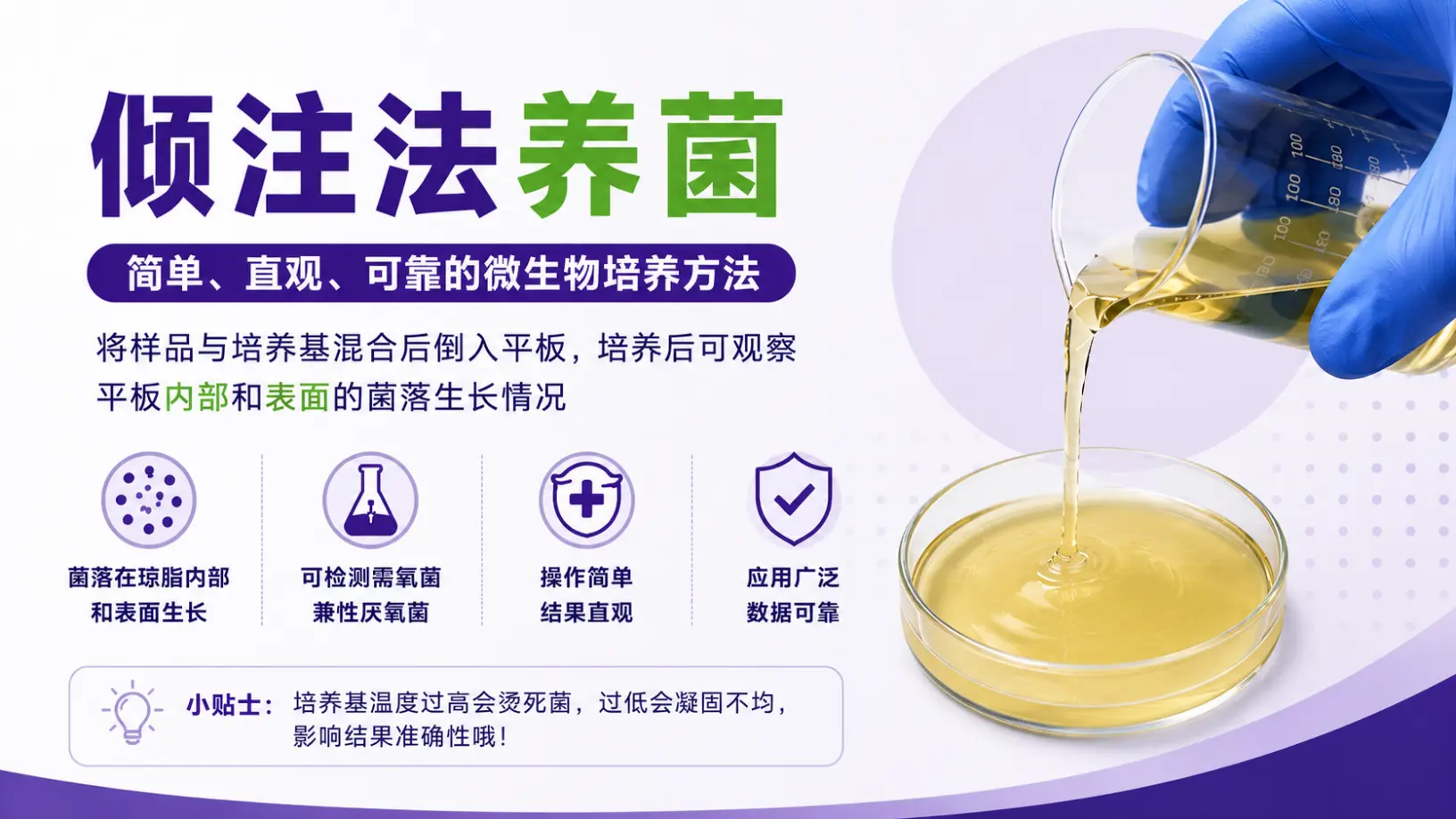 倾注法养菌介绍