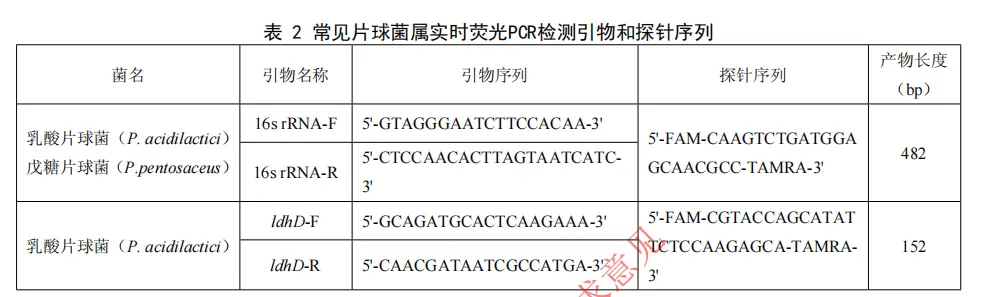 常见片球菌属实时荧光PCR检测引物和探针序列
