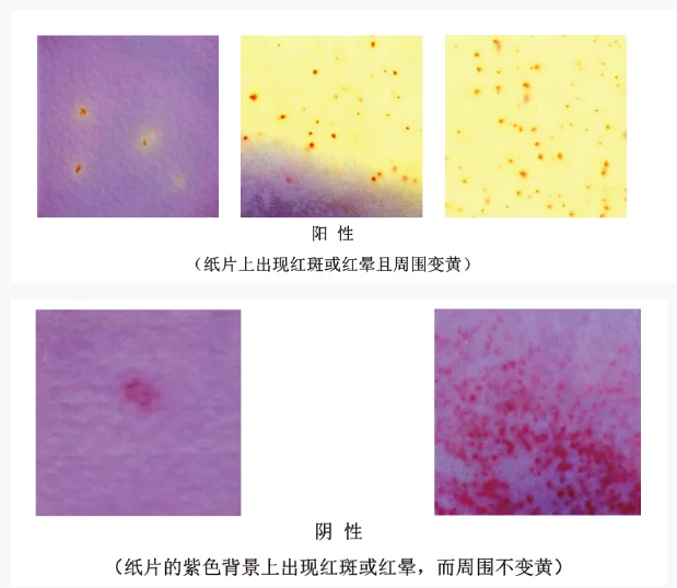 湿式餐具大肠菌群检验纸片判读结果