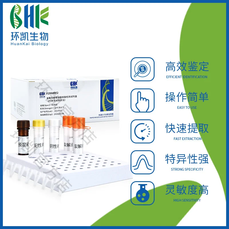 FZ004BF2 金黄色葡萄球菌核酸检测试剂盒(PCR-荧光探针法) 48test - 产品主图2