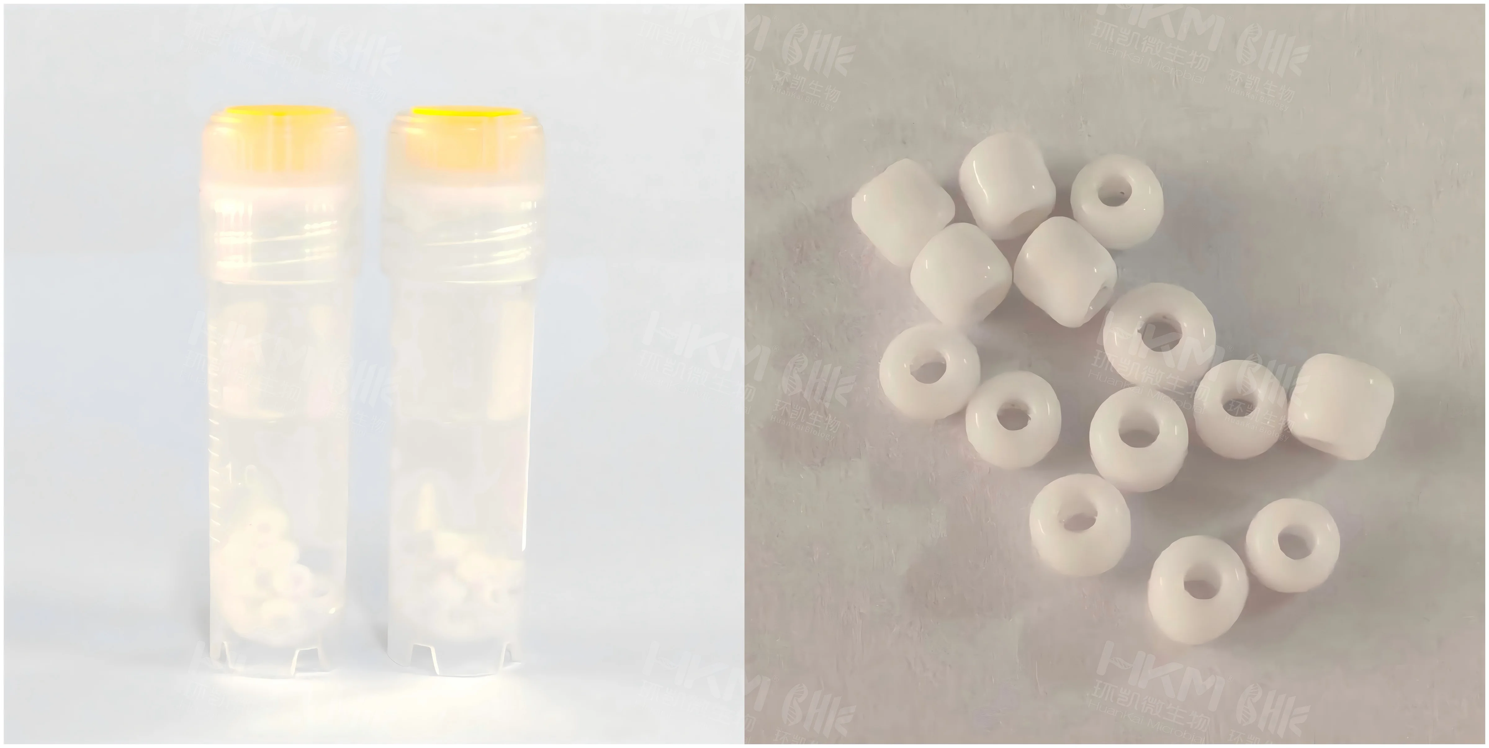 瓷珠菌株冻存管详情图