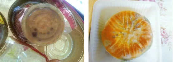月饼霉菌超标